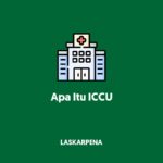 Apa Itu ICCU