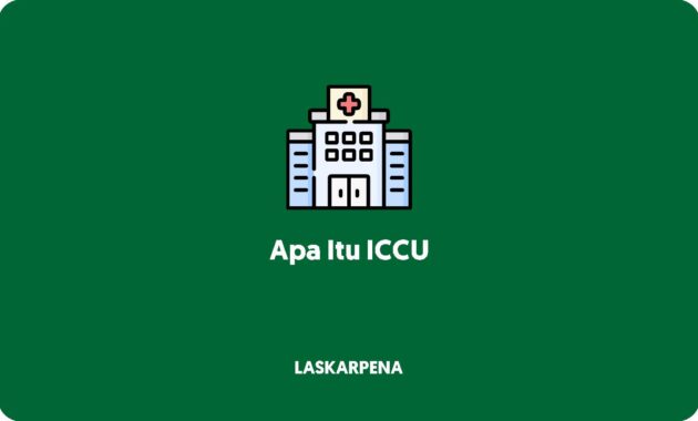 Apa Itu ICCU