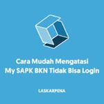 My SAPK BKN Tidak Bisa Login